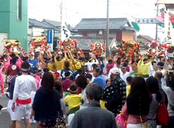 It raise all at once seven mikoshi.