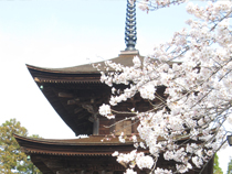 日吉神社　三重塔