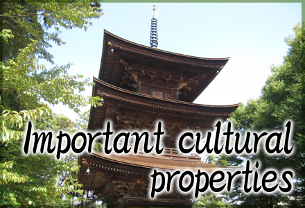 Important cultural
properties