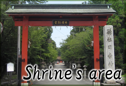 Shrine's area