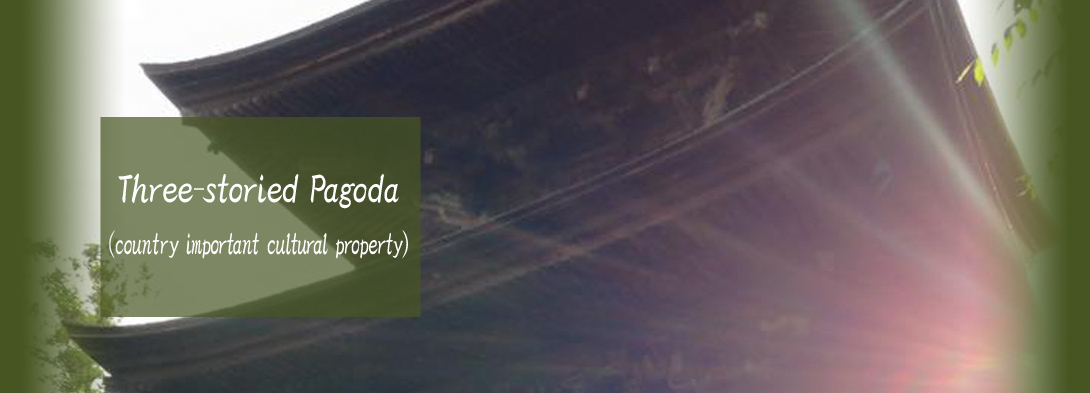 Three‐storied Pagoda (country important cultural property)