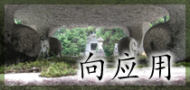 应用